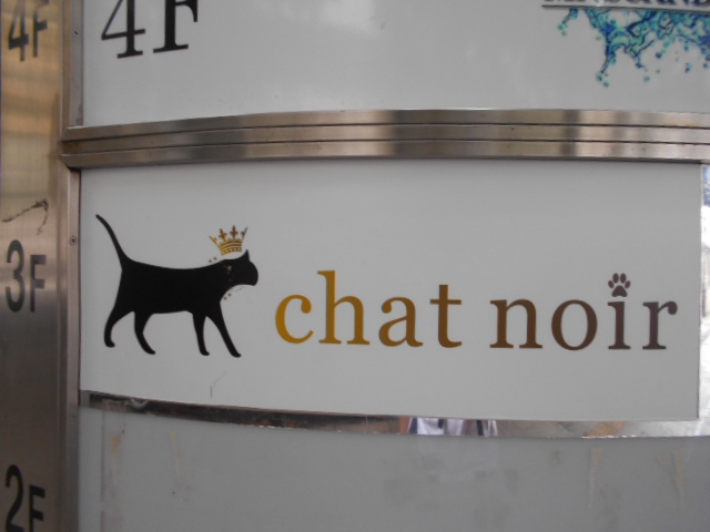 chat noir