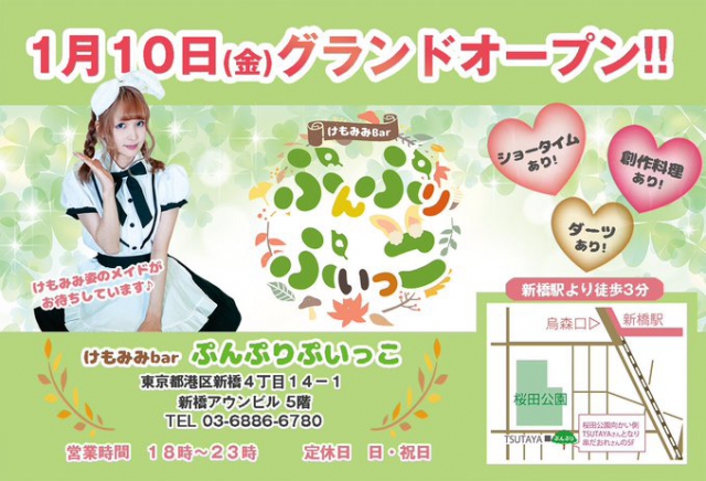 けもみみBar ぷんぷりぷいっこ