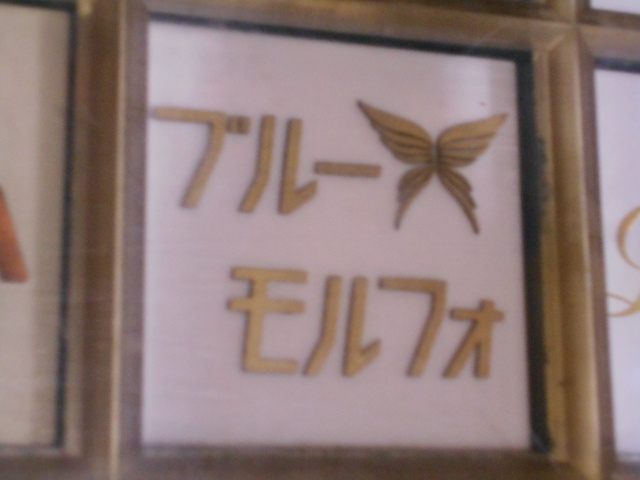 ブルーモルフォ/BLUE MORPHO