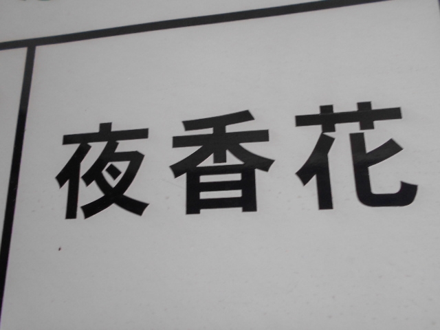 那覇 スナック 夜香花