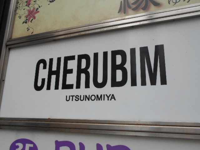 CHERUBIM