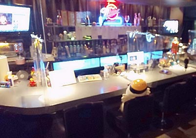 Bar Crowd(s)