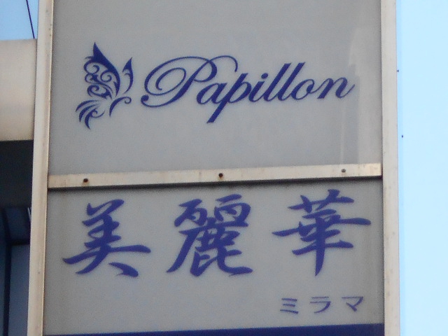 Papillon