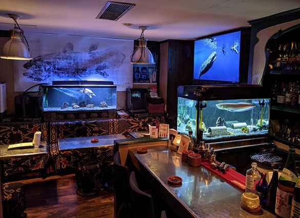 ディタバー  SHOT＆COCKTAIL DITA BAR
