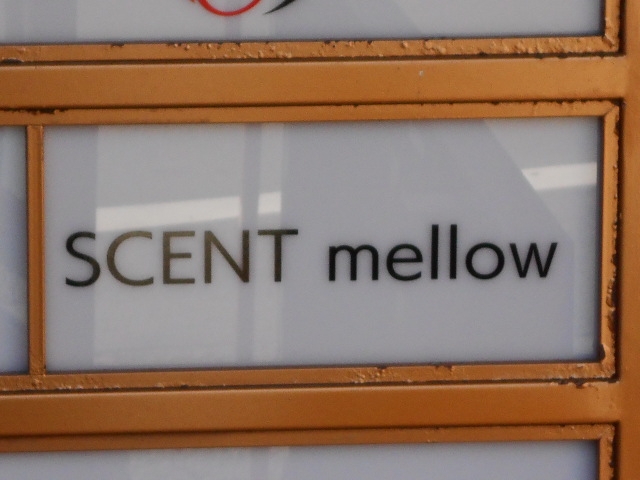 和歌山 スナック SCENT mellow