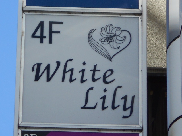 White Lily