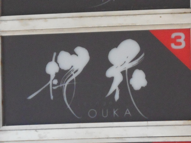 旭川 スナック 桜花