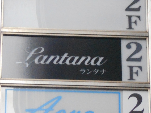 神戸 三宮 スナック ランタナ Lantana