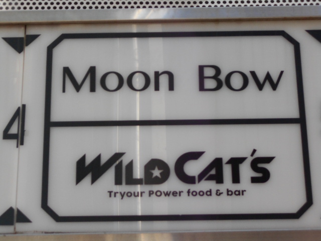 WILD CAT'S ワイルドキャッツ