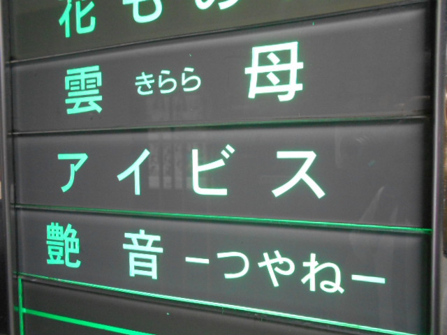 艶音