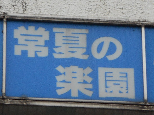 常夏の楽園