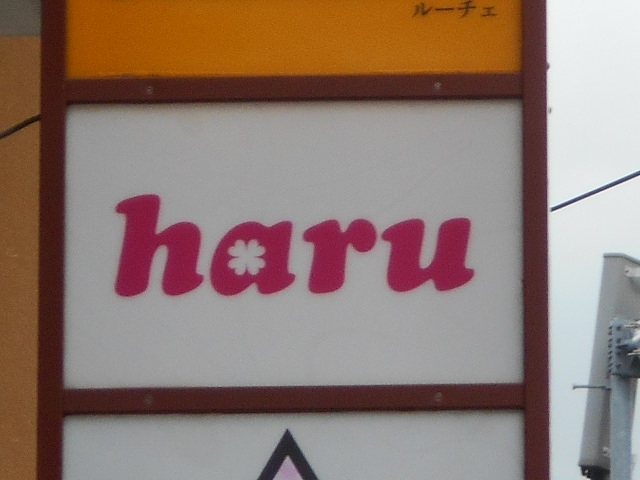 和歌山 アロチ café bar haru