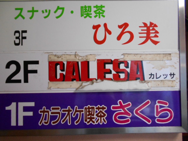 CALESA カレッサ