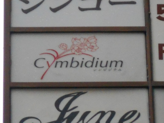 Cymbidium シンビジウム