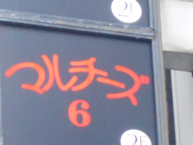 マルチーズ６