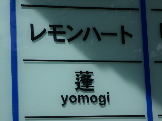 蓬 よもぎ