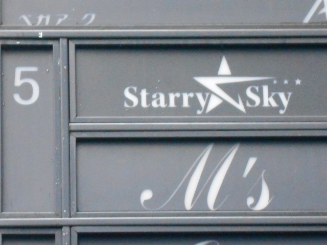 Starry Sky