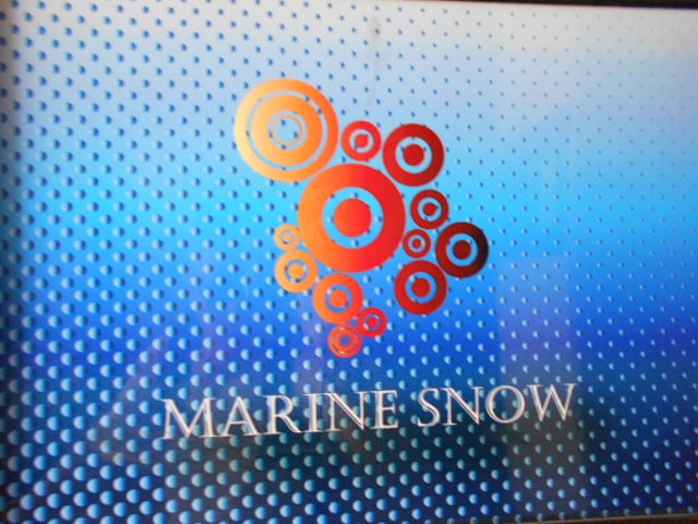 MARINE SNOW  マリンスノー