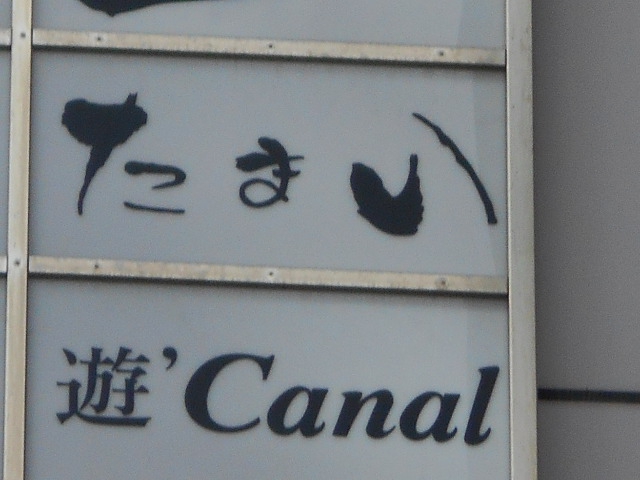たまい