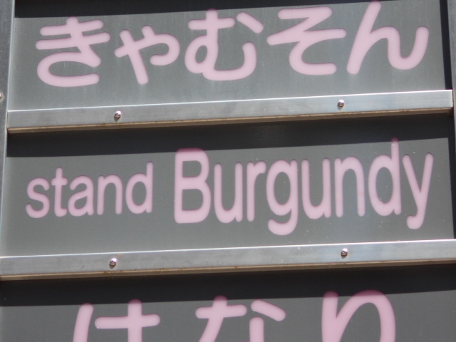 宮崎 stand Burgundy