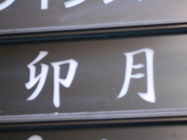 卯月