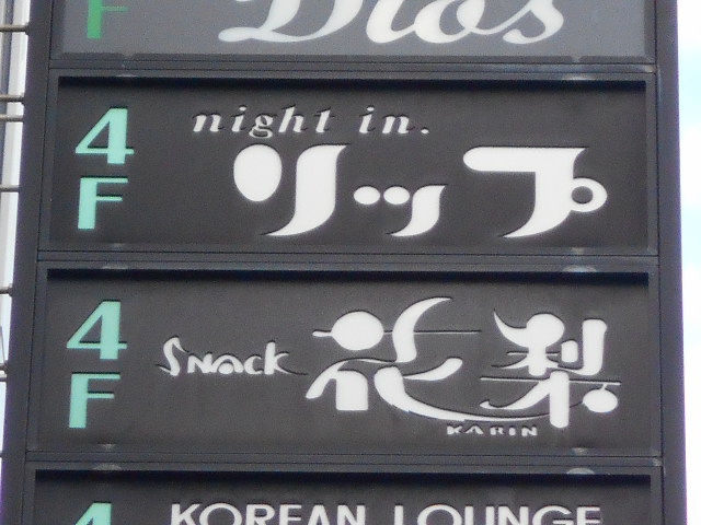 night in リップ