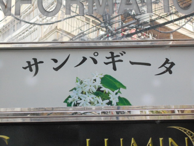 サンパギータ