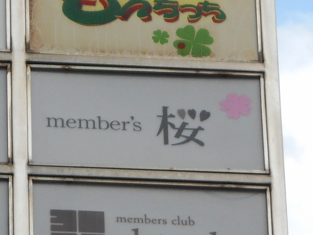 小倉 メンバーズ 桜