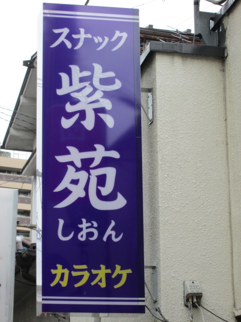 紫苑