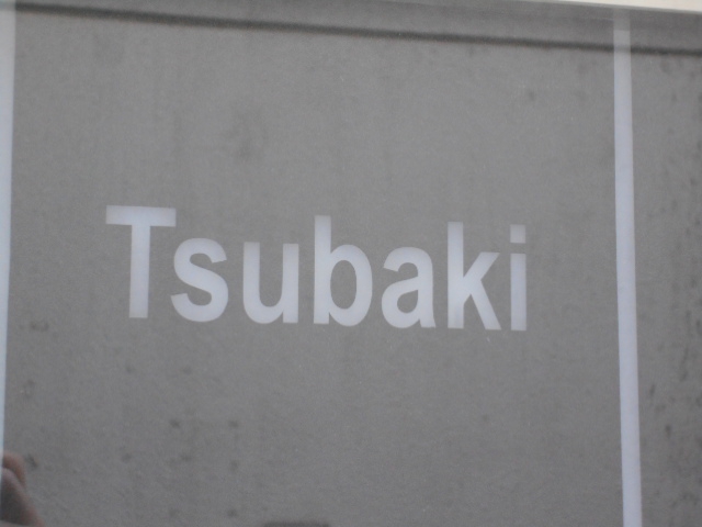 Tsubaki