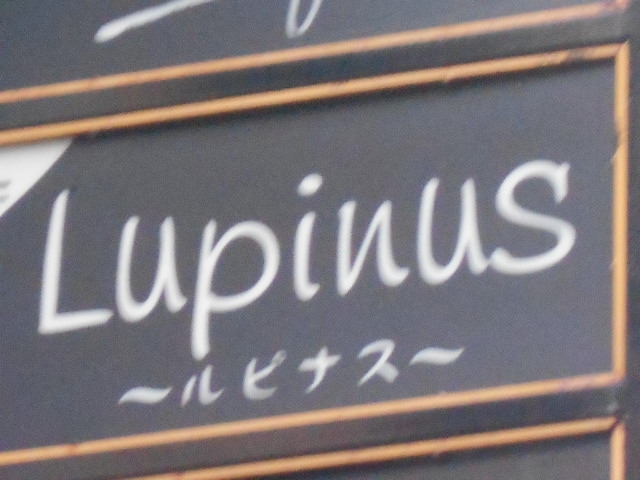 岡山 ルピナス