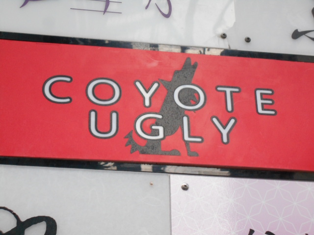 COYOTE UGLY