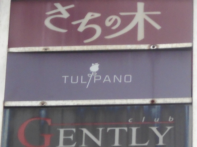 博多 中洲  TUL PANO