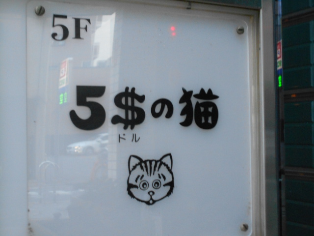 ５ドルの猫