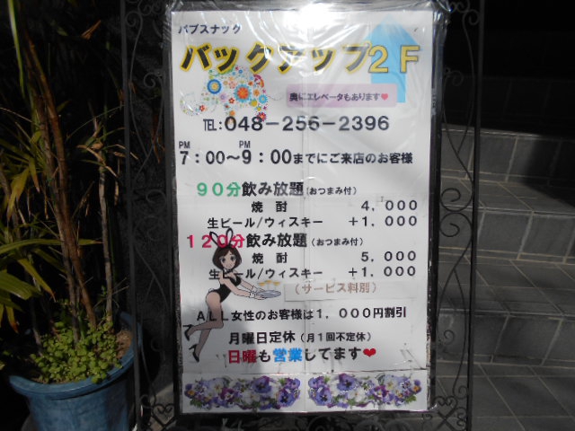 パブスナック バックアップ