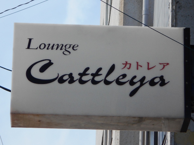ラウンジカトレア