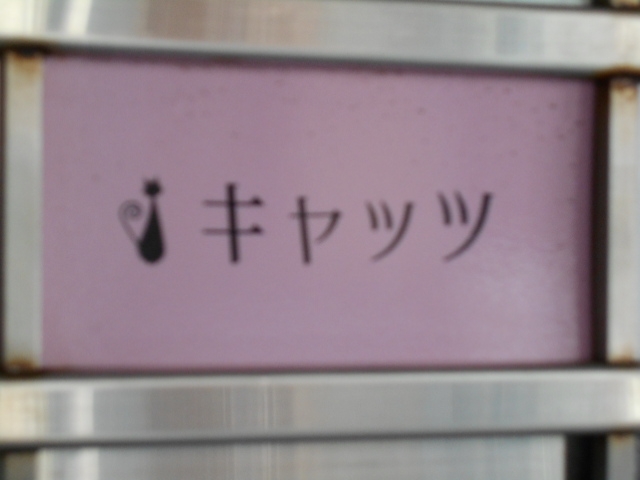 和歌山 スナック キャッツ