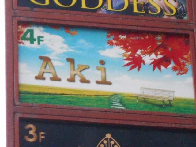 千葉 スナック Aki