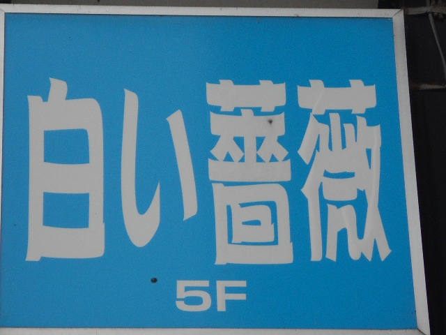 白い薔薇