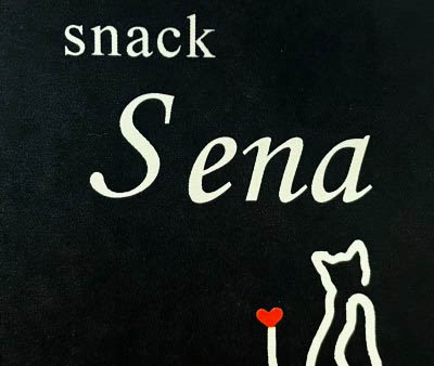 錦糸町 カラオケスナックバーSena